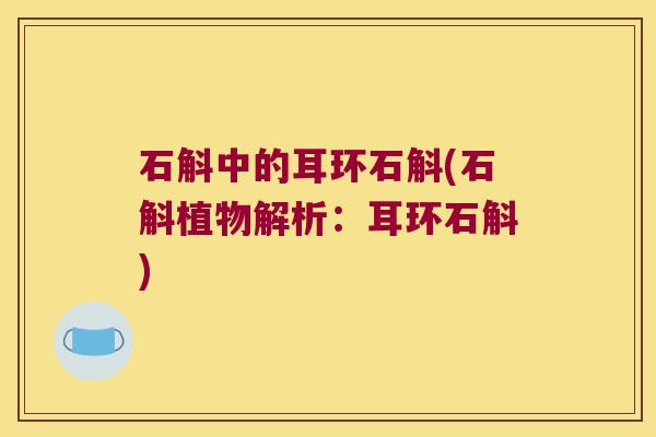 石斛中的耳环石斛(石斛植物解析：耳环石斛)