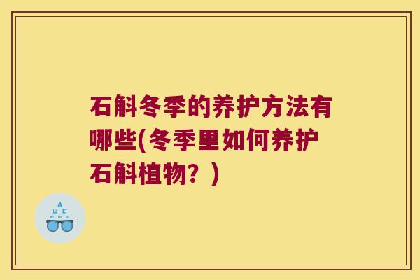 石斛冬季的养护方法有哪些(冬季里如何养护石斛植物？)