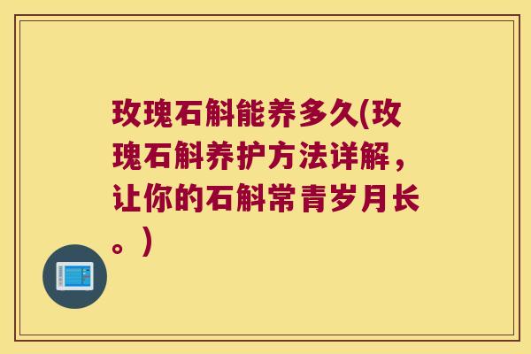 玫瑰石斛能养多久(玫瑰石斛养护方法详解，让你的石斛常青岁月长。)