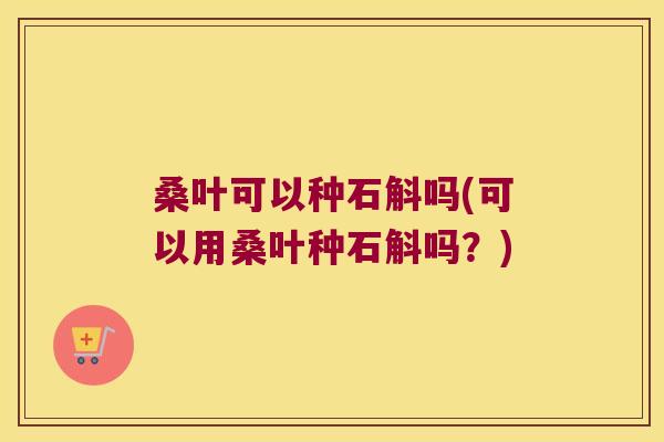 桑叶可以种石斛吗(可以用桑叶种石斛吗？)