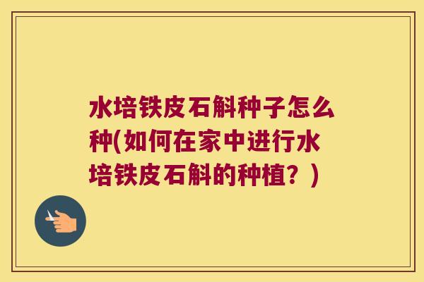 水培铁皮石斛种子怎么种(如何在家中进行水培铁皮石斛的种植？)