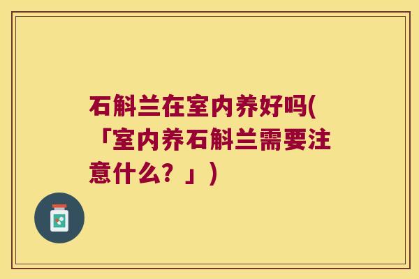 石斛兰在室内养好吗(「室内养石斛兰需要注意什么？」)