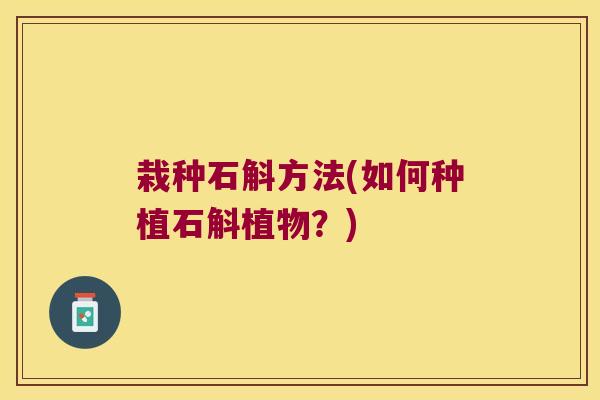 栽种石斛方法(如何种植石斛植物？)