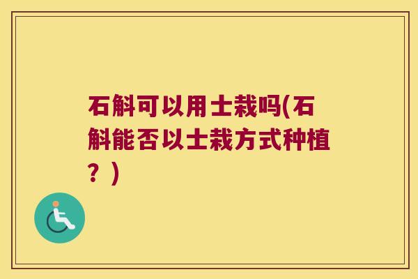 石斛可以用士栽吗(石斛能否以士栽方式种植？)