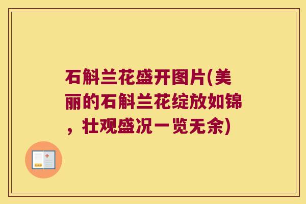 石斛兰花盛开图片(美丽的石斛兰花绽放如锦，壮观盛况一览无余)