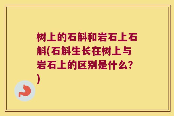 树上的石斛和岩石上石斛(石斛生长在树上与岩石上的区别是什么？)