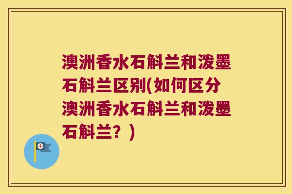 澳洲香水石斛兰和泼墨石斛兰区别(如何区分澳洲香水石斛兰和泼墨石斛兰？)
