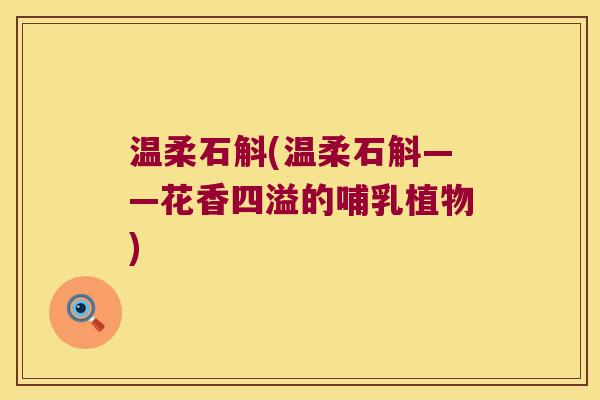 温柔石斛(温柔石斛——花香四溢的哺乳植物) 温柔石斛(温柔石斛——花香四溢的哺乳植物)