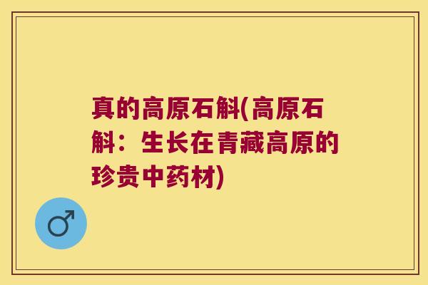 真的高原石斛(高原石斛：生长在青藏高原的珍贵中药材)