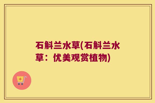 石斛兰水草(石斛兰水草：优美观赏植物)