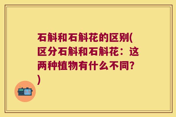 石斛和石斛花的区别(区分石斛和石斛花：这两种植物有什么不同？)