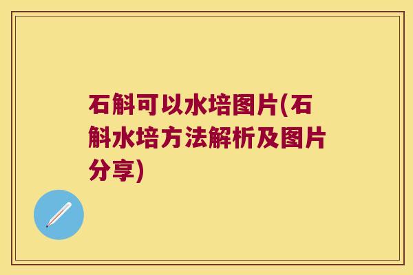 石斛可以水培图片(石斛水培方法解析及图片分享)
