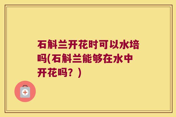 石斛兰开花时可以水培吗(石斛兰能够在水中开花吗？)