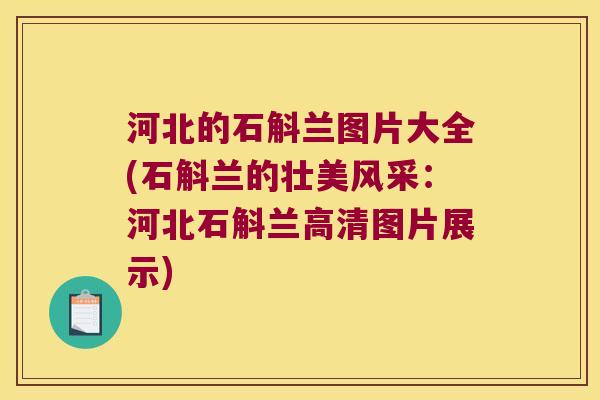 河北的石斛兰图片大全(石斛兰的壮美风采：河北石斛兰高清图片展示)