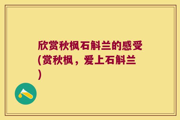 欣赏秋枫石斛兰的感受(赏秋枫，爱上石斛兰)