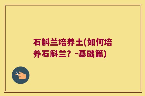石斛兰培养土(如何培养石斛兰？-基础篇)