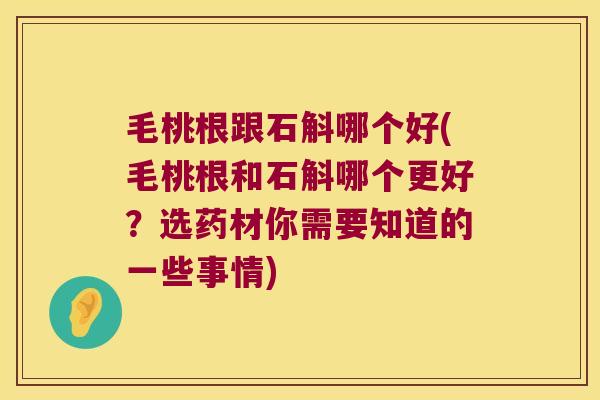 毛桃根跟石斛哪个好(毛桃根和石斛哪个更好？选药材你需要知道的一些事情)