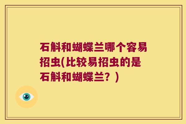 石斛和蝴蝶兰哪个容易招虫(比较易招虫的是石斛和蝴蝶兰？)