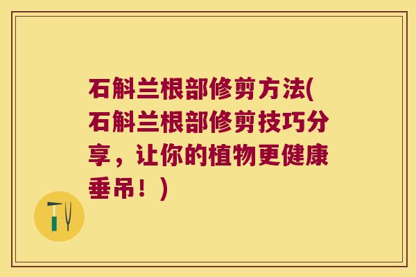 石斛兰根部修剪方法(石斛兰根部修剪技巧分享，让你的植物更健康垂吊！)