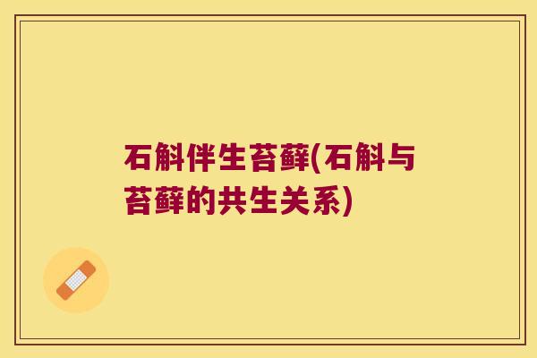 石斛伴生苔藓(石斛与苔藓的共生关系) 石斛伴生苔藓(石斛与苔藓的共生关系)