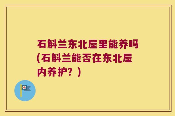 石斛兰东北屋里能养吗(石斛兰能否在东北屋内养护？)