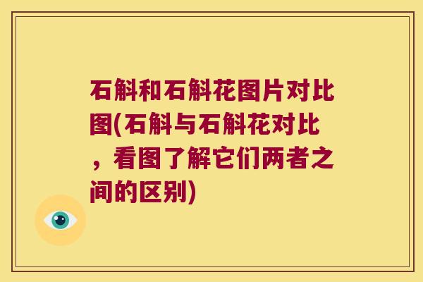 石斛和石斛花图片对比图(石斛与石斛花对比，看图了解它们两者之间的区别)