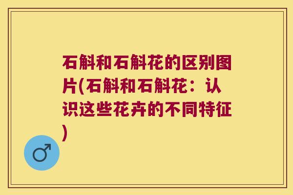 石斛和石斛花的区别图片(石斛和石斛花：认识这些花卉的不同特征)