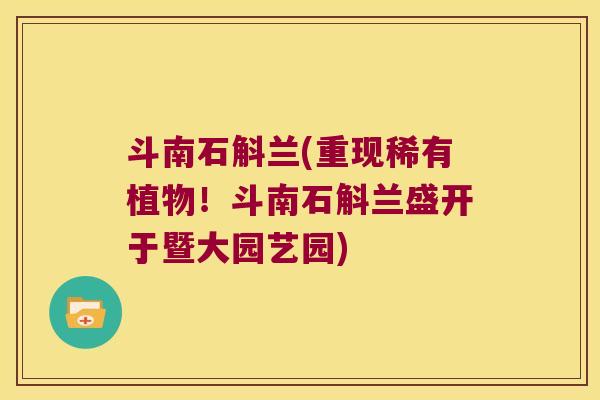 斗南石斛兰(重现稀有植物！斗南石斛兰盛开于暨大园艺园)