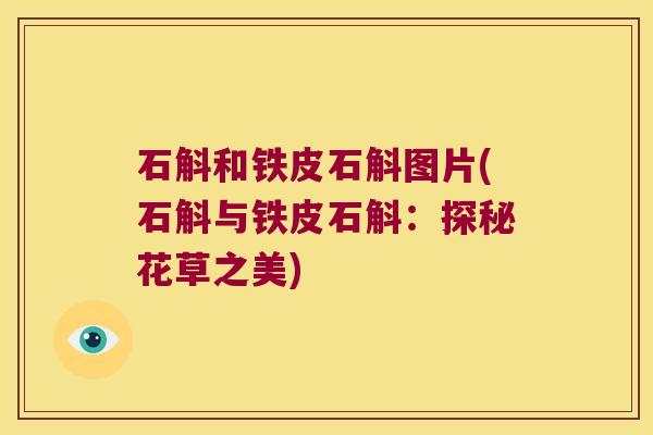 石斛和铁皮石斛图片(石斛与铁皮石斛:探秘花草之美) 石斛和铁皮石斛图片(石斛与铁皮石斛:探秘花草之美)