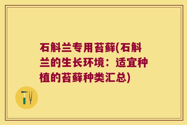 石斛兰专用苔藓(石斛兰的生长环境：适宜种植的苔藓种类汇总)